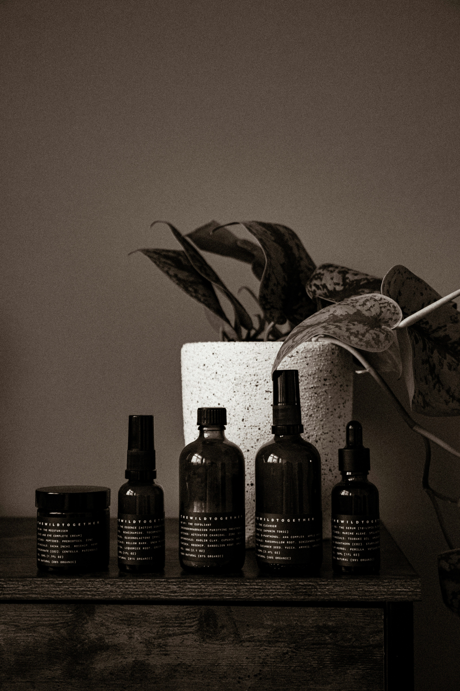 Skin & Hair Harmony